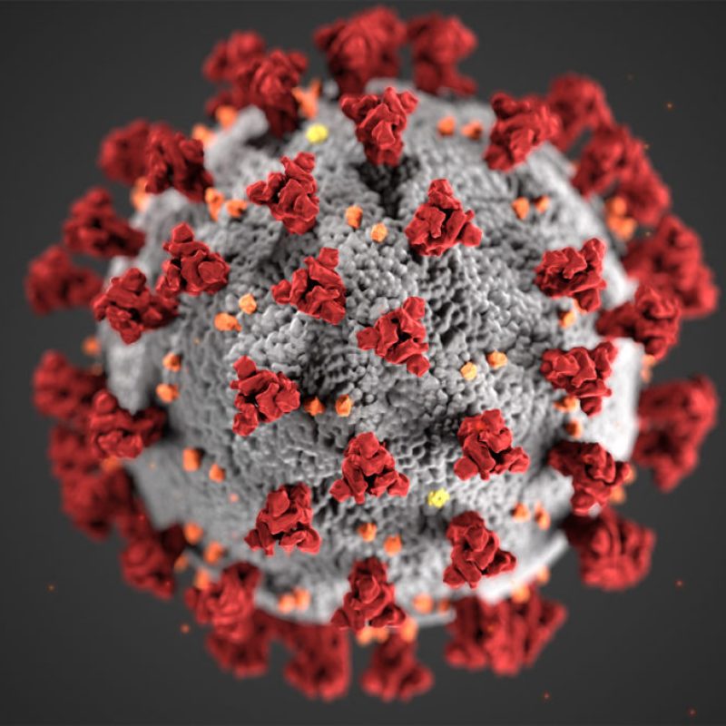 anti coronavirus clim